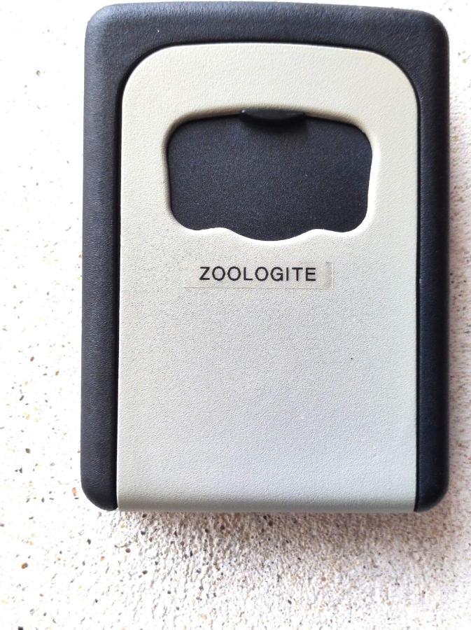 סנט-איגנן Zoologite מראה חיצוני תמונה